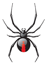 Black Widow Pencils Logo